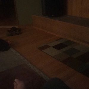 Meet your Posher, Robert